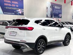 Haval H6 National Trend Edition 1.5T Automatic Urban Version - ფოტო 4