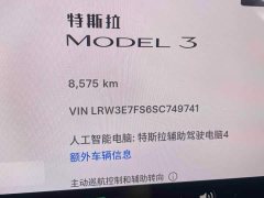 Tesla Model 3 Rear-Wheel Drive - ფოტო 10
