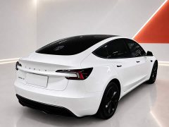 Tesla Model 3 Rear-Wheel Drive - ფოტო 6