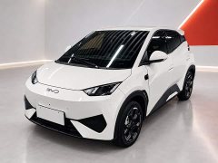 BYD Seagull 405km Flying Edition - ფოტო 1