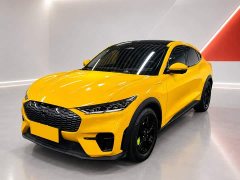 Ford Mustang Mach-E 2021 Standard Range RWD - ფოტო 1