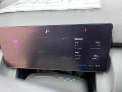 Xpeng P7 Long Range Max - ფოტო 10