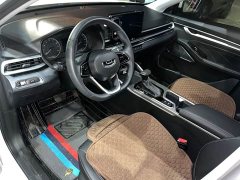 Geely Emgrand 4th Generation Champion Edition 1.5L CVT Luxury - ფოტო 7