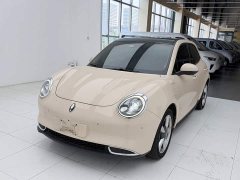 ORA Good Cat 400km Standard Range Athena Edition LFP Battery - ფოტო 1