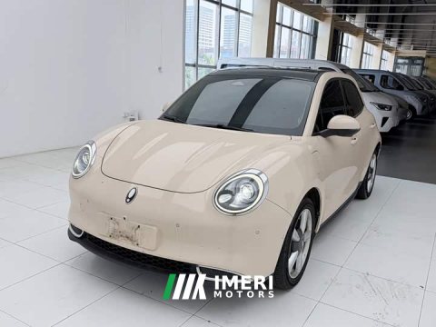 2021 ORA Good Cat 400km Standard Range Athena Edition LFP Battery - ავტომობილი ჩინეთიდან