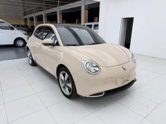ORA Good Cat 400km Standard Range Athena Edition LFP Battery - ფოტო 3