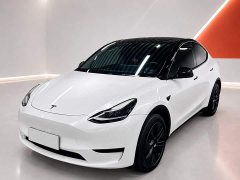 Tesla Model Y 2023 Rear-Wheel Drive - ფოტო 1