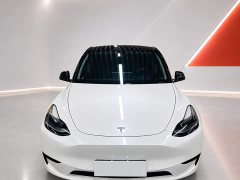 Tesla Model Y 2023 Rear-Wheel Drive - ფოტო 2