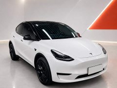 Tesla Model Y 2023 Rear-Wheel Drive - ფოტო 3