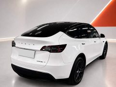 Tesla Model Y 2023 Rear-Wheel Drive - ფოტო 6