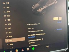 Tesla Model Y Rear-Wheel Drive - ფოტო 10