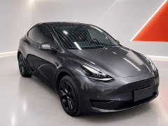 Tesla Model Y Rear-Wheel Drive - ფოტო 3