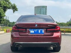 BMW 5 Series Facelift 530Li Premier Luxury Package - ფოტო 8