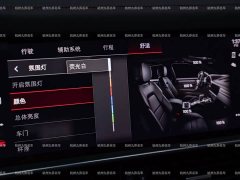 Porsche 2023 Cayenne 3.0T - ფოტო 20
