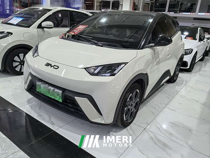BYD Seagull 305km Freedom Edition