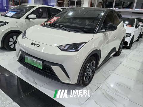 2024 BYD Seagull 305km Freedom Edition