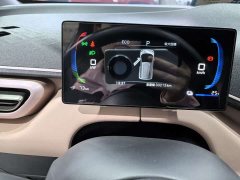 BYD Seagull 2025 305km Freedom Edition - ფოტო 12