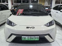 BYD Seagull 2025 305km Freedom Edition - ფოტო 2