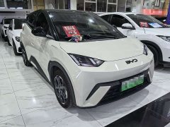 BYD Seagull 2025 305km Freedom Edition - ფოტო 3