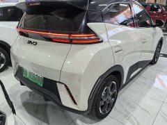 BYD Seagull 2025 305km Freedom Edition - ფოტო 6
