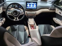 BYD Seagull 2025 305km Freedom Edition - ფოტო 9