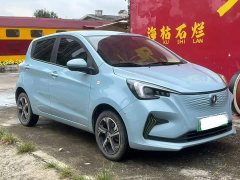 Changan Benben E-Star Shangxin Edition Multi-Color LFP Battery - ფოტო 3