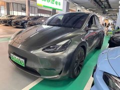 Tesla Model Y Performance All-Wheel Drive - ფოტო 1