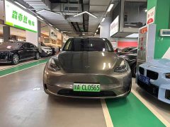 Tesla Model Y Performance All-Wheel Drive - ფოტო 2