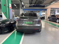 Tesla Model Y Performance All-Wheel Drive - ფოტო 5