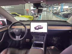 Tesla Model Y Performance All-Wheel Drive - ფოტო 8