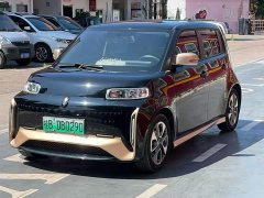 ORA White Cat 2022 Little Wildcat 360km Luxury Ternary Lithium - ფოტო 1