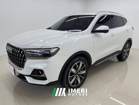 2023 Haval H6 National Trend Edition 1.5T Automatic Champion Version - ავტომობილი ჩინეთიდან