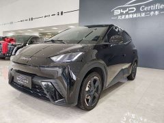 BYD Seagull Freedom Edition - ფოტო 1