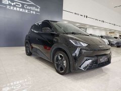 BYD Seagull Freedom Edition - ფოტო 3