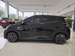 BYD Seagull Freedom Edition - ფოტო 8