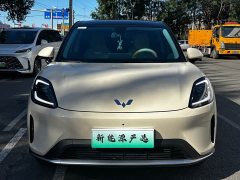 Wuling Bingguo S 325km Deluxe Edition - ფოტო 2
