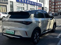 Wuling Bingguo S 325km Deluxe Edition - ფოტო 4