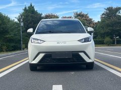 BYD Seagull Glory Edition 305km Vitality Version - ფოტო 3