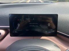 BYD Seagull Glory Edition 305km Vitality Version - ფოტო 6