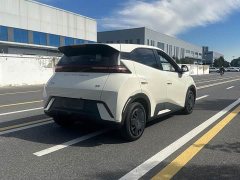 BYD Seagull Glory Edition 305km Vitality Version - ფოტო 9