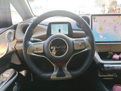 BYD Dolphin 420km Fashion Edition - ფოტო 15