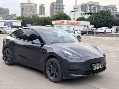 Tesla Model Y Rear-Wheel Drive - ფოტო 3