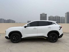 Jetour Jietu Dasheng 1.5T DCT Transcend Edition - ფოტო 2