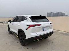 Jetour Jietu Dasheng 1.5T DCT Transcend Edition - ფოტო 9