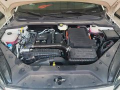 BYD Dolphin 06 DM-i Smart Drive Edition 80KM Luxury - ფოტო 10