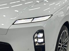 NIO ES8 Six-Seat Executive Signature Edition - ფოტო 18
