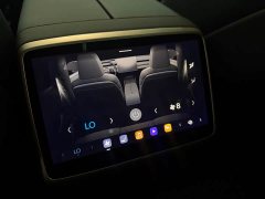 Nio Lerado L60 60kWh Rear-Wheel Drive - ფოტო 15