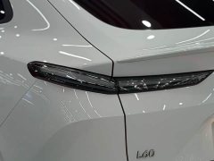 Nio Lerado L60 60kWh Rear-Wheel Drive - ფოტო 18
