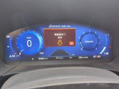 Ford Escape 2020 EcoBoost 245 AWD Premium Edition - ფოტო 14