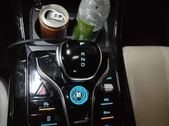 BYD Qin PLUS Champion Edition DM-i 55KM Leading - ფოტო 10